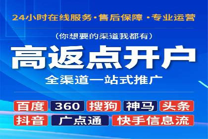 百度竞价策略解析：案例分析及优化建议